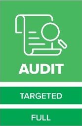 Heliocentrix Digital Transformation Audit step, including Targeted