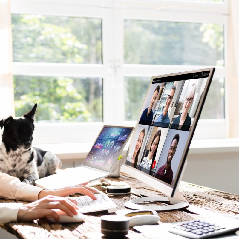 dreamstime_xxl_212477903