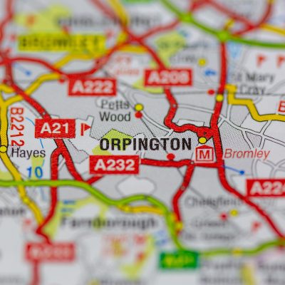 orpington